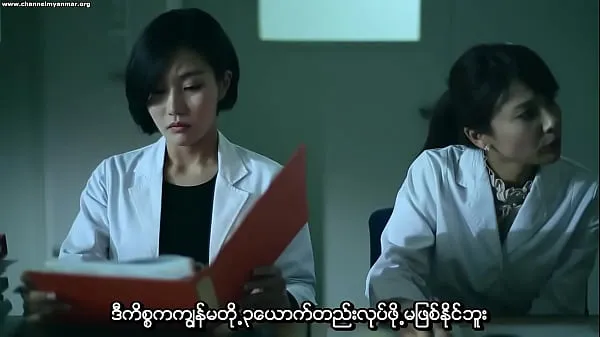 XXX Gyeulhoneui Giwon (Myanmar subtitle samlede film