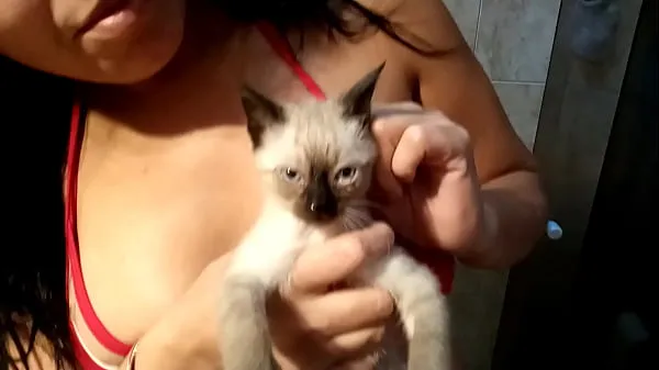 XXX yhteensä Sarah Rosa │ Series │ Cats & Cats │ Bathing with Gustavo ║ In this Video She Shows Us How She Did to Bathe Her Kitty Gustavo elokuvaa