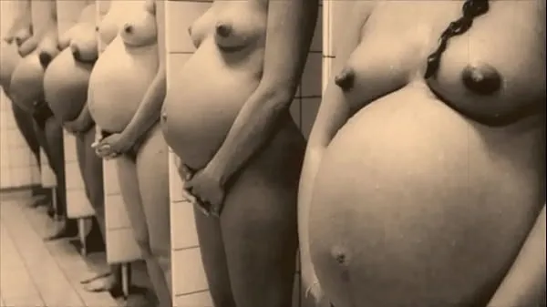 XXX Retro Pregnant Babes' The Sexual Memoirs of an English Gentleman 电影总数